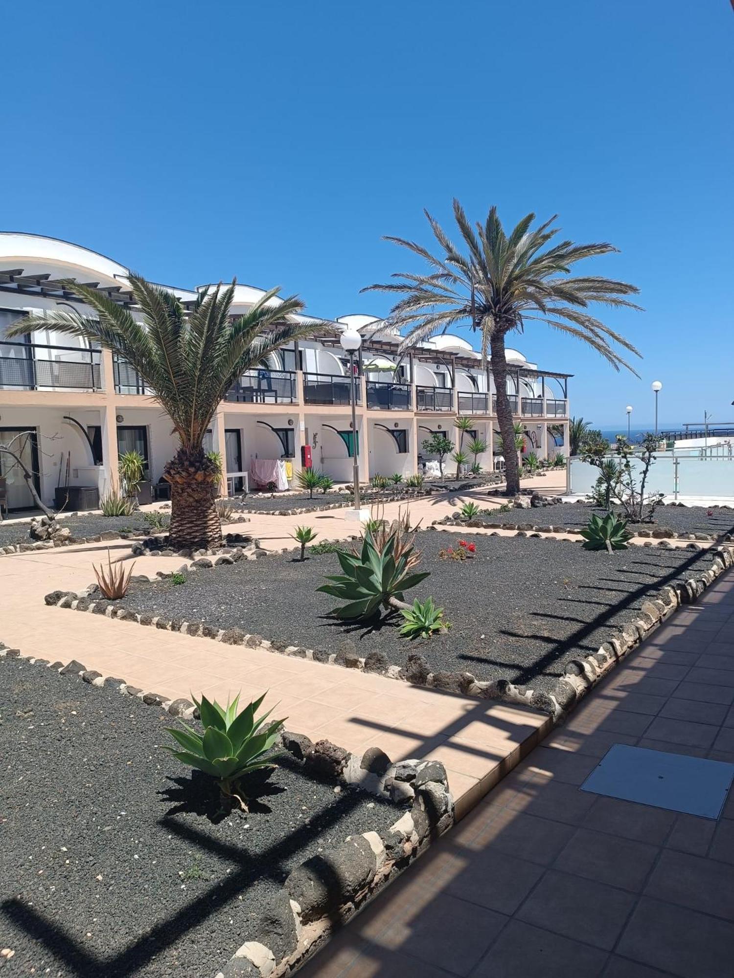 Apartamento Life Complex Amaya Fuerteventura Costa De Antigua Buitenkant foto