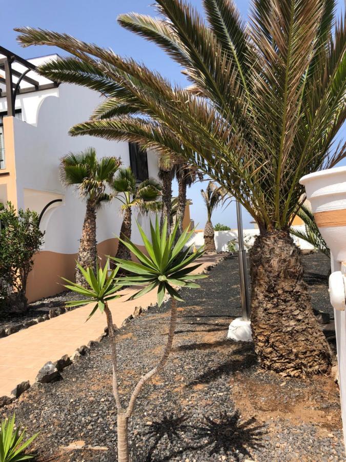 Apartamento Life Complex Amaya Fuerteventura Costa De Antigua Buitenkant foto